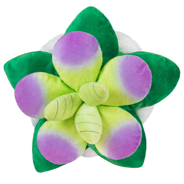 chez-rhox-geek-stop-plush-squishable-mini-succulent-plant-7-inches-2-2.jpg
