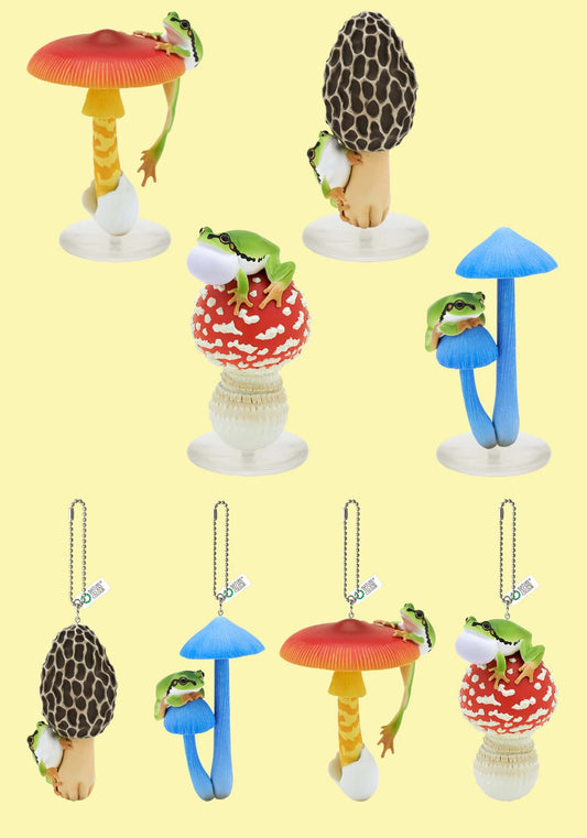 Boîte mystère - Kitan Club - Champignon et Grenouille Mono Plus