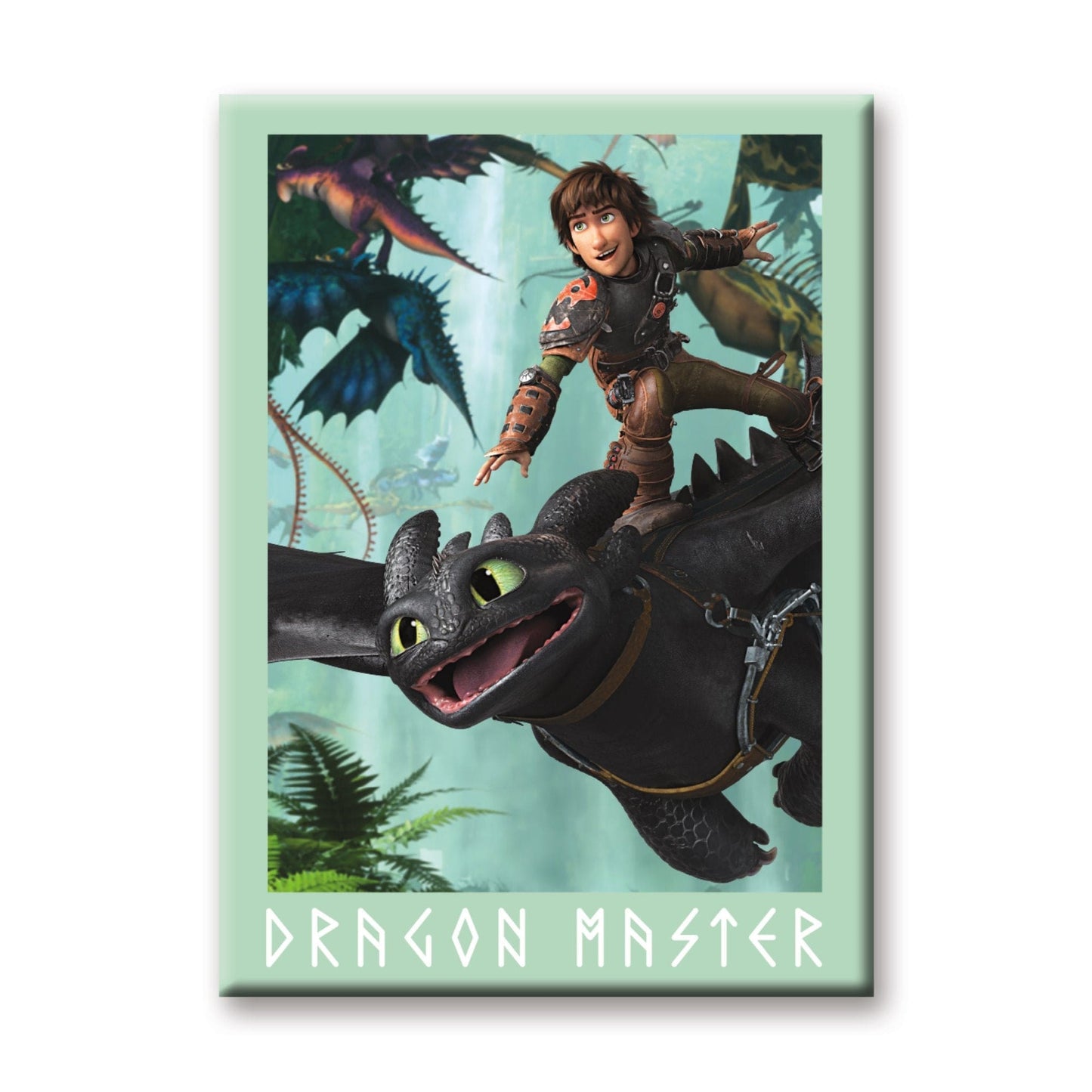 Aimant - Dreamworks How to Train Your Dragon- Dragon Master