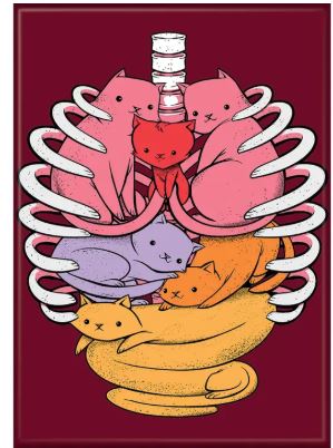 Aimant - T. Fonseca - Anatomicat