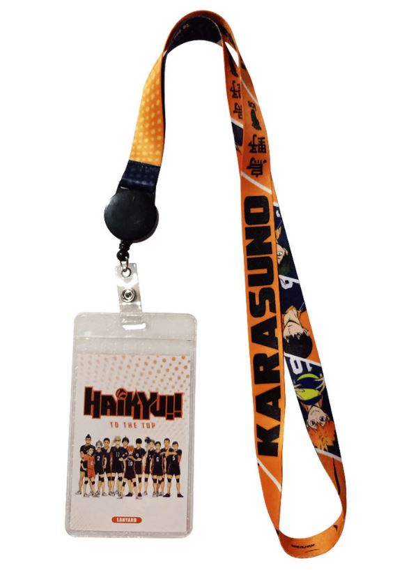 chez-rhox-geek-stop-haikyu-groupe-retractable.JPG