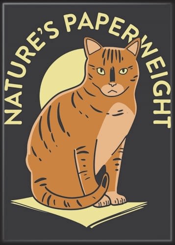 chez-rhox-le-geek-stop-magnet-cat-natures-paper-weight.jpg