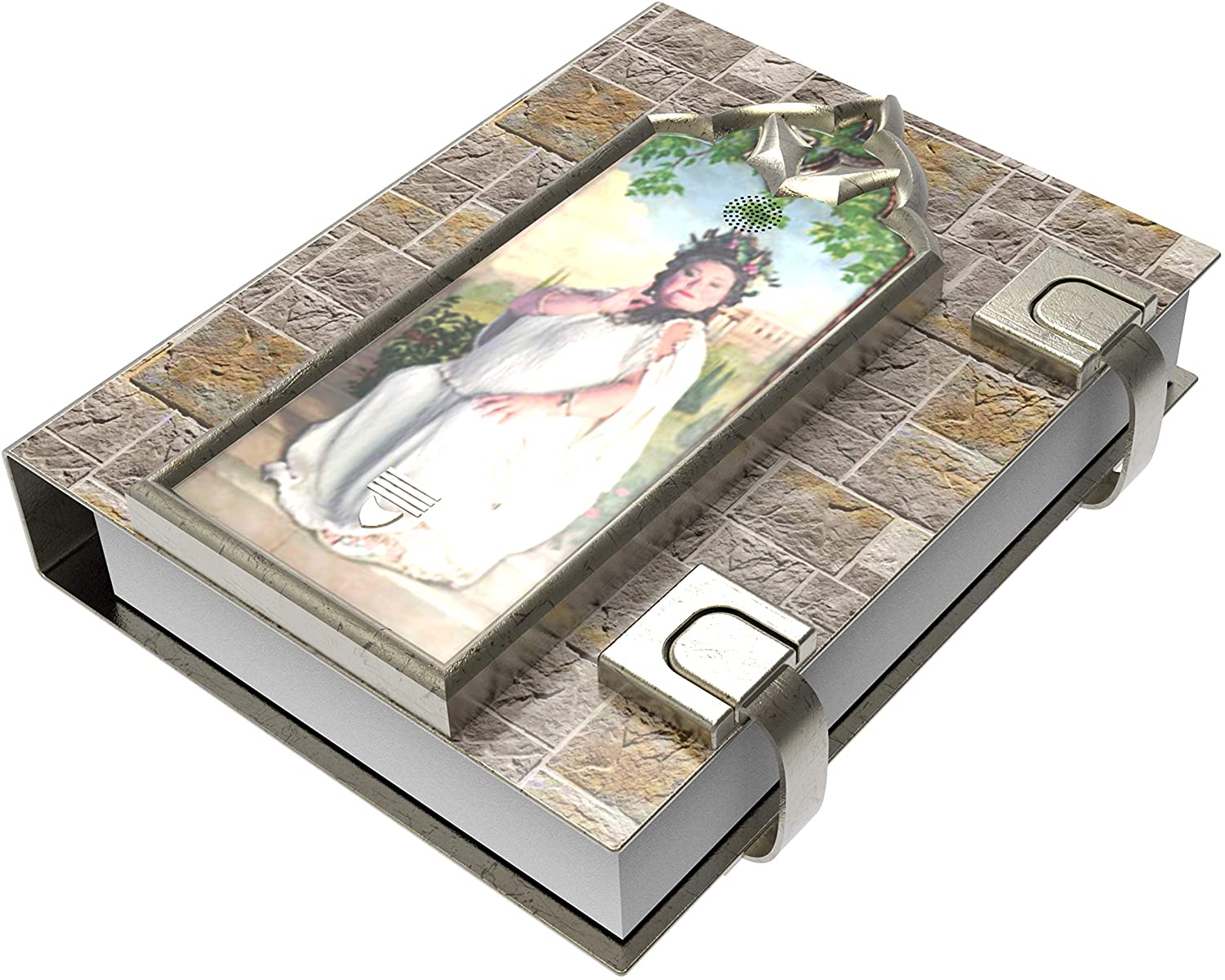 chez-rhox-geek-stop-collectible-harry-potter-gryffindor-common-room-password-journal-fat-lady-2.jpg