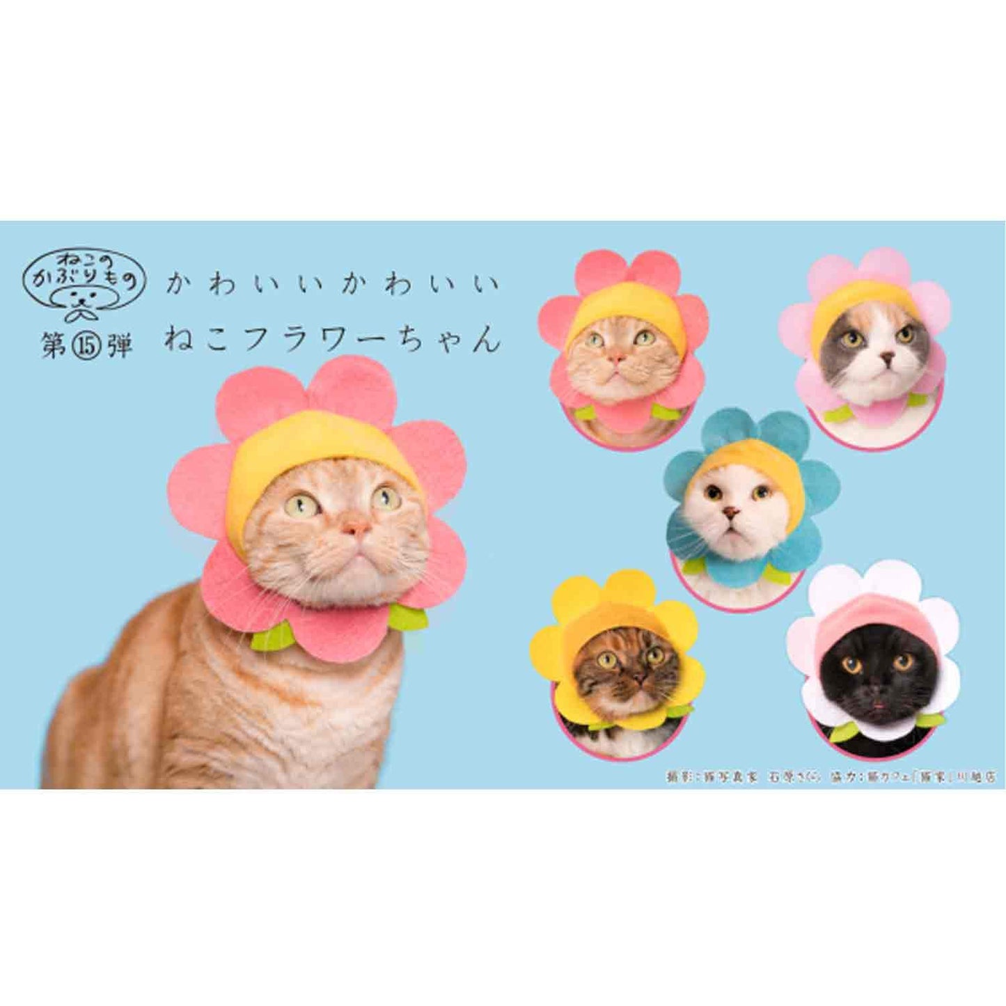 chez-rhox-geek-stop-blind-box-kitan-club-cap-for-cats-bear-flower.jpeg