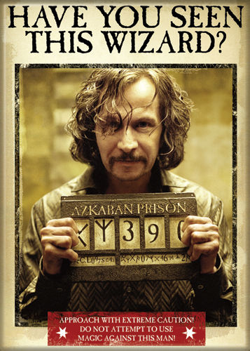 chez-rhox-geek-stop-aimant-harry-potter-have-you-seen-this-wizard.jpg
