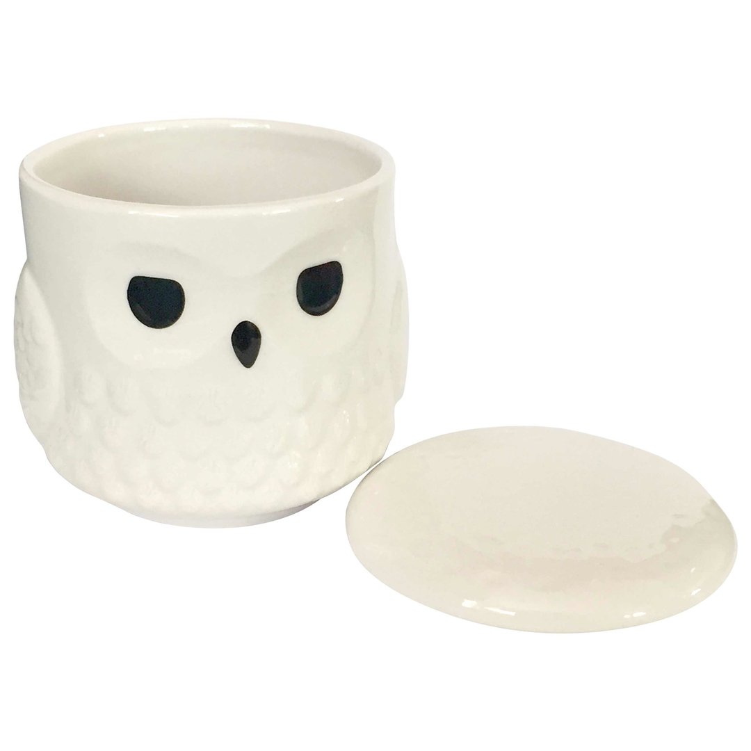 chez-rhox-geek-stop-mug-cup-wizarding-world-harry-potter-hedwig-with-lid-2.jpg