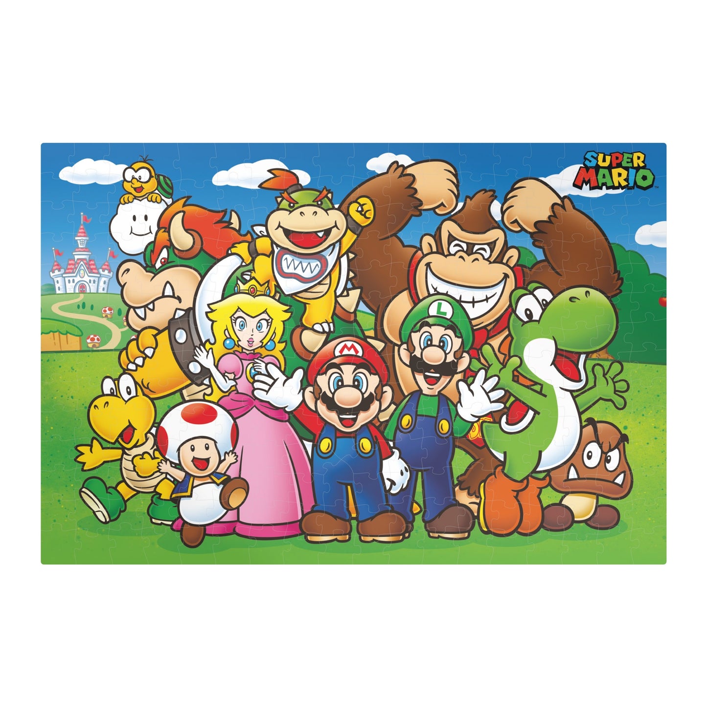 chez-rhox-geek-stop-puzzle-nintendo-super-mario-question-mark-block-metal-box-group-shot-250-pieces-2.jpg