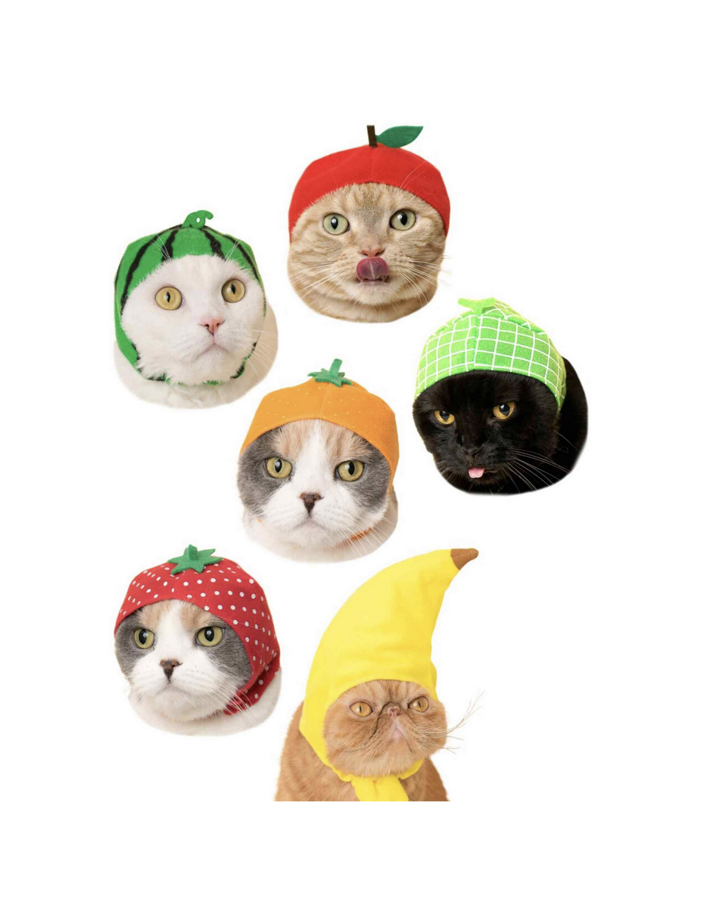 chez-rhox-geek-stop-blind-box-kitan-club-cap-for-cats-fruits.jpg