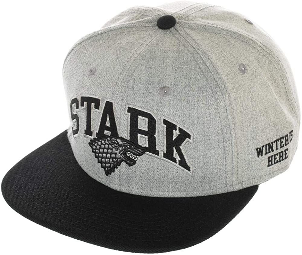 chez-rhox-geek-stop-cap-game-of-thrones-stark-gray-snapback-2.jpg