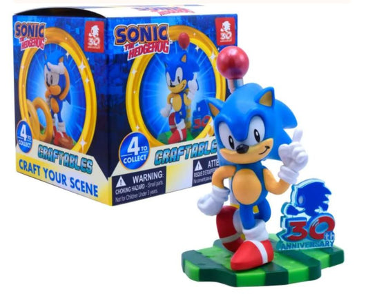 chez-rhox-geek-stop-mystery-box-sega-sonic-the-hedgehog-30th-anniversary-craftables-2.JPG