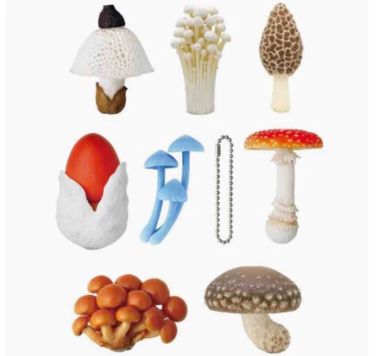 mushroom 0102 ♡ Shop | Shroomyz Magic Mushroom Dispensary
