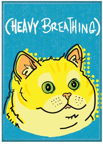 chez-rhox-geek-shop-magnet-meme-chat-heavy-breathing.JPG
