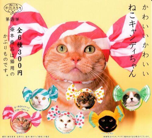 chez-rhox-geek-stop-blind-box-kitan-club-cap-for-cats-candy.jpg