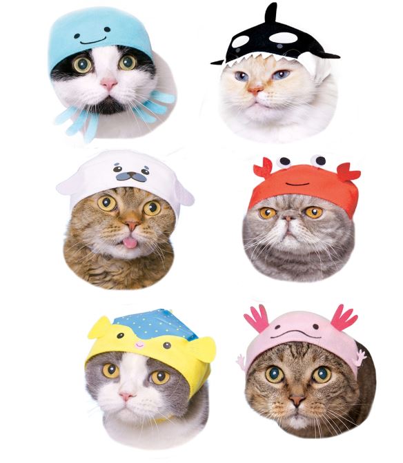 chez-rhox-geek-stop-blind-box-kitan-club-cap-for-cats-aquarium-vol2-2.JPG