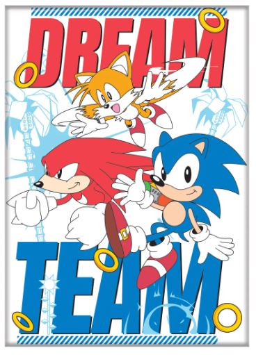 chez-rhox-geek-shop-magnet-sonic-the-hedgehog-sonic-dream-team.JPG