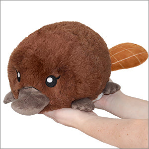 chez-rhox-geek-stop-plush-squishable-mini-platypus-7-inches-2.jpg
