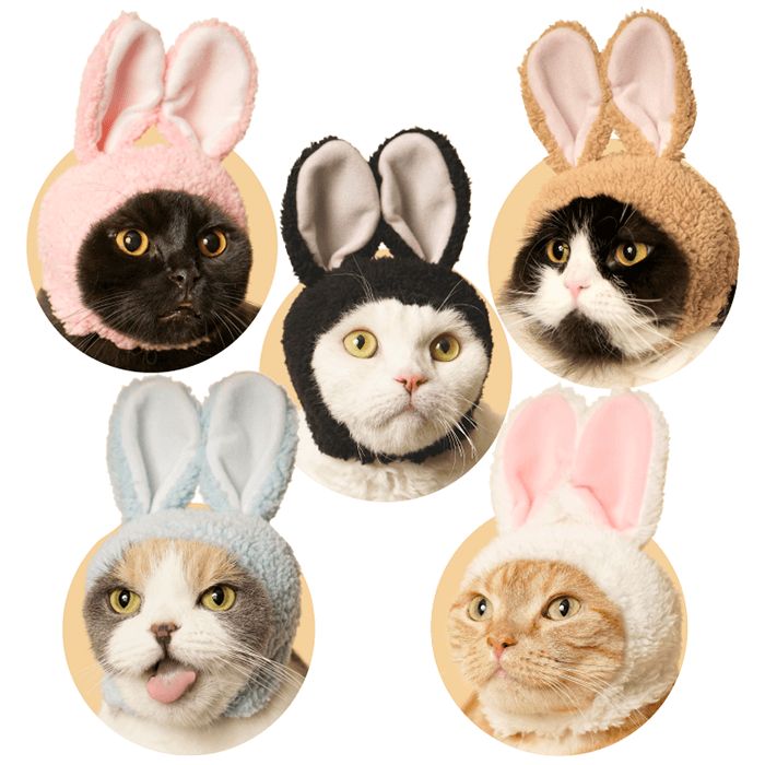 chez-rhox-geek-stop-blind-box-kitan-club-cap-for-cats-bunny-2.jpg