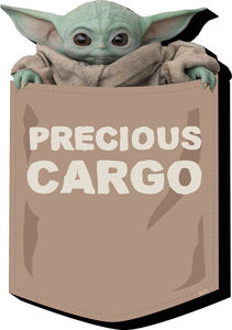 chez-rhox-geek-stop-magnet-star-wars-the-mandalorian-the-child-precious-cargo-nmr.jpg