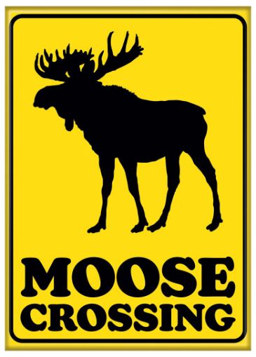 chez-rhox-geek-shop-magnet-meme-moose-crossing.JPG